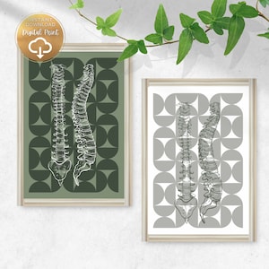 Chiropractic Art Bauhaus Poster Perfect for a Chiropractor gifts | Physical Therapy Art, Chiropractic Poster, Spine Art