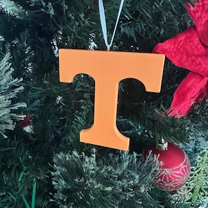 Puede incluir: Adorno de Navidad de la letra T naranja colgado de un &aacute;rbol de Navidad verde.