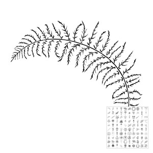 May include: A black ink illustration of a single curved fern frond with detailed, jagged leaflets. In the bottom right corner, there is a square grid containing a collection of many small, distinct black and white botanical line drawings.