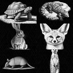 Desert Wildlife Bundle 10 3D Illusion PNG Files | Laser Engraving Lightburn xTool | Sublimation and Printing | Digital Download
