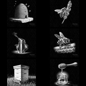 Può includere: Una collezione di dieci illustrazioni in bianco e nero a tema apicoltura, tra cui un apicoltore con un telaio, api su favi, un alveare a cupola, un'ape sulla lavanda, un affumicatore, un'ape su un telaio, un'arnia in legno, miele su un mestolo.