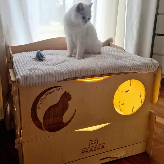 MADAME PREMIUM Cat Birthing Box Cat Breeder Cat Care Cat House Cat Birth Cat Bed Boite D accouchement Katzengeburtskasten Etsy