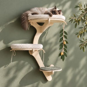 Árbol rascador OLIVE. Mueble de pared con camas, rascador de fieltro y juguete. Torre moderna para gatos con estantes hechos a mano. Diseño personalizable.