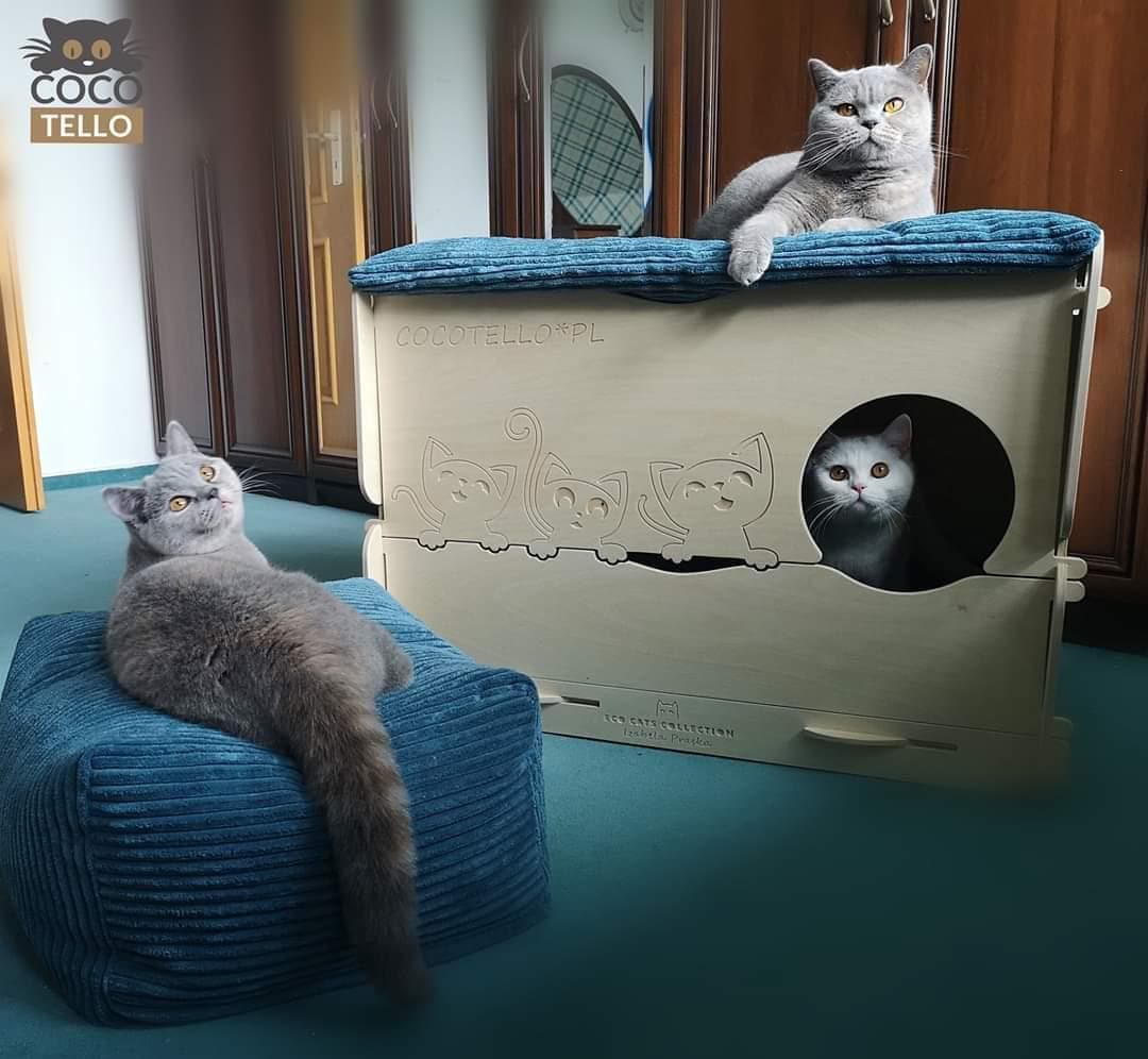 QUEEN PREMIUM for Breeders Cat Breeders Cat Care Cat House Cat Birth Kittens Cat Cave Cat Bed Cat House Etsy