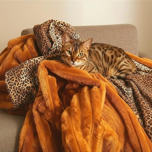 Puede incluir: Un gato bengalí descansa sobre una manta de color naranja quemado con un estampado de leopardo. El gato tiene marcas rayadas marrones y negras y ojos verdes. La manta está sobre un sofá gris.