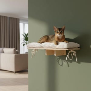 May include: A light-colored wooden cat shelf with a cream-colored cushion, mounted on a green wall. A brown cat is lying on the cushion. The shelf is secured with cream-colored ties.