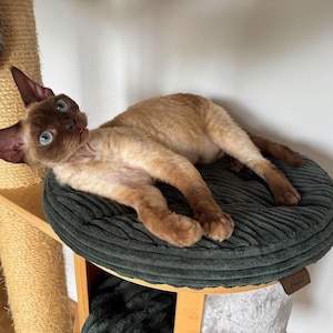 Cat Bed for cat tree, scratching post, tower, furniture, shelves. Mat, pillow, cushion. Choose diameter, color. Customized.