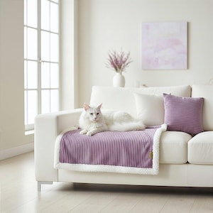 Può includere: Un gatto bianco riposa su un divano bianco con una coperta di velluto a coste viola e un cuscino abbinato. La coperta ha un bordo bianco e soffice. Un vaso di fiori viola e un dipinto sono appesi al muro.