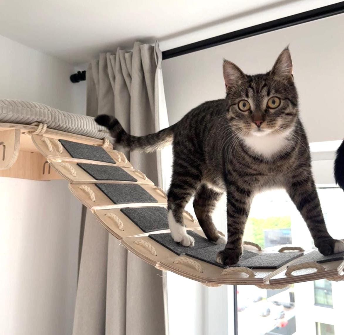 BRIDGE for Cats With Sisal Rope. Universal, Easy Connection and ...