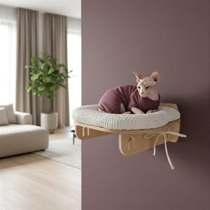 May include: A Sphynx cat wearing a maroon sweater rests on a wall-mounted cat bed. The bed features a light-colored, corduroy-like cushion and a natural wood frame. A white ribbon is tied to the bottom of the bed. The cat is in a room with a plant and a couch.