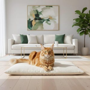 May include: A ginger Maine Coon cat lying on a cream-coloured, striped pet bed. The cat has green eyes. The background features a white sofa with green and white cushions, a gold coffee table, and a painting.
