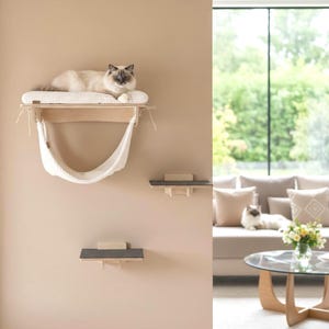 Könnte beinhalten: Eine helle Katze liegt auf einem an der Wand befestigten Katzenbett mit einem cremefarbenen Kissen und einer Hängematte. Zwei zusätzliche Wandregale sind ebenfalls sichtbar. Die Katzenmöbel sind aus hellem Holz und Stoffen in neutralen Farbtönen gefertigt.