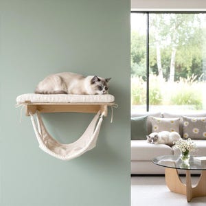 Könnte beinhalten: Eine helle Katze ruht auf einem an der Wand befestigten Katzenregal mit einem cremefarbenen Kissen und einer Hängematte. Das Regal ist aus hellem Holz gefertigt und an einer hellgrünen Wand befestigt. Die Hängematte ist aus cremefarbenem Rippstoff.