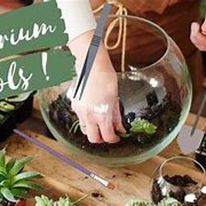 Terrarium supplies, Terrarium Starter Kit, DIY   Terrarium 8-piece set, Eco System, Terrarium soil