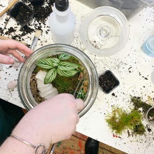 Terrarium Starter Kit, DIY Terrarium set, Slate and Moss Terrarium Kit