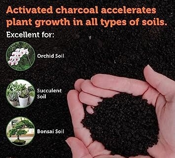 Horticultural Charcoal, Natural Cleanser for Plants, Soil Conditioner,  Helps With Toxins and Excess Moisture 