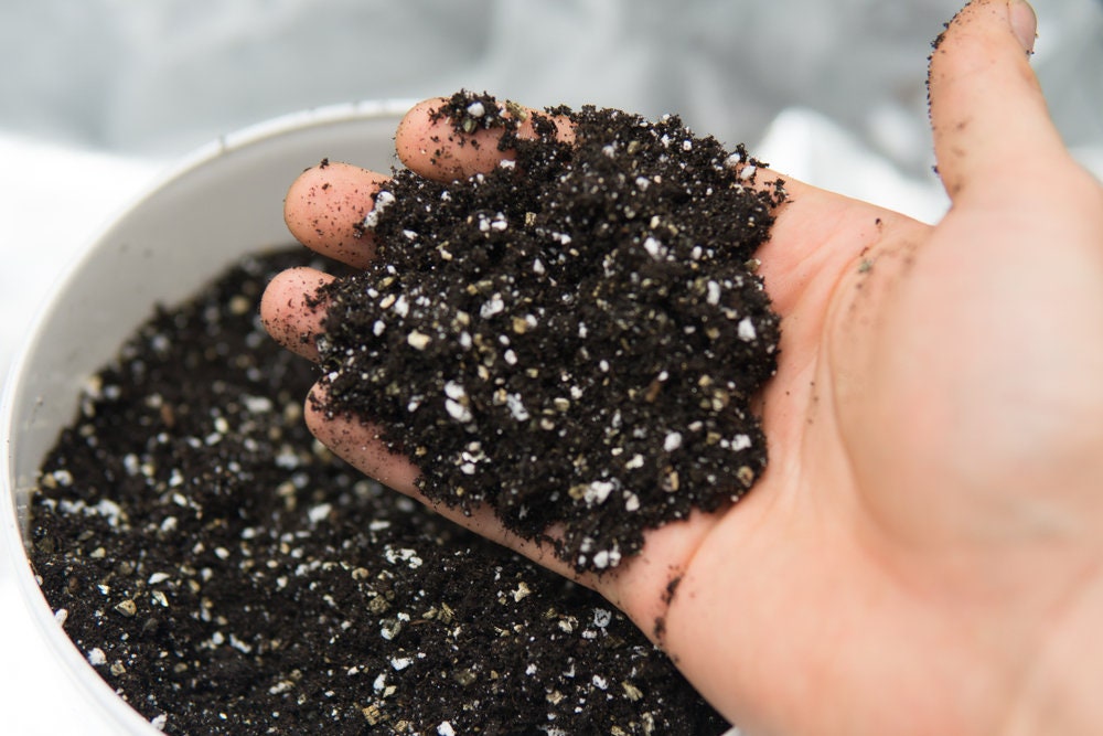 All Purpose Potting Soil, Houseplant Potting Mix, Tropical Plant soil, Re-Potting soil, Indoor Gardening,  Resealable bag and shovel