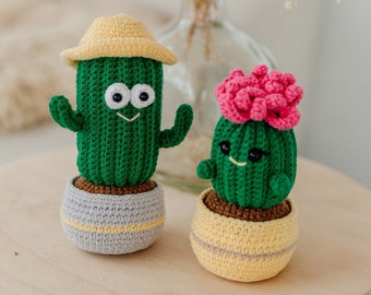 Patrón crochet set 2 en 1, cactus amigurumi, patrón cactus crochet, patrón crochet juguete, patrón amigurumi cactus, patrón flores crochet