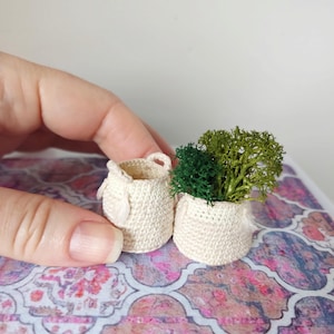 Puede incluir: Dos cestas de ganchillo en miniatura, una vacía y otra con follaje verde. Las cestas son de color blanquecino y tienen un aspecto texturizado. El follaje es una mezcla de verde oscuro y claro. Los artículos se exhiben sobre una superficie estampada.