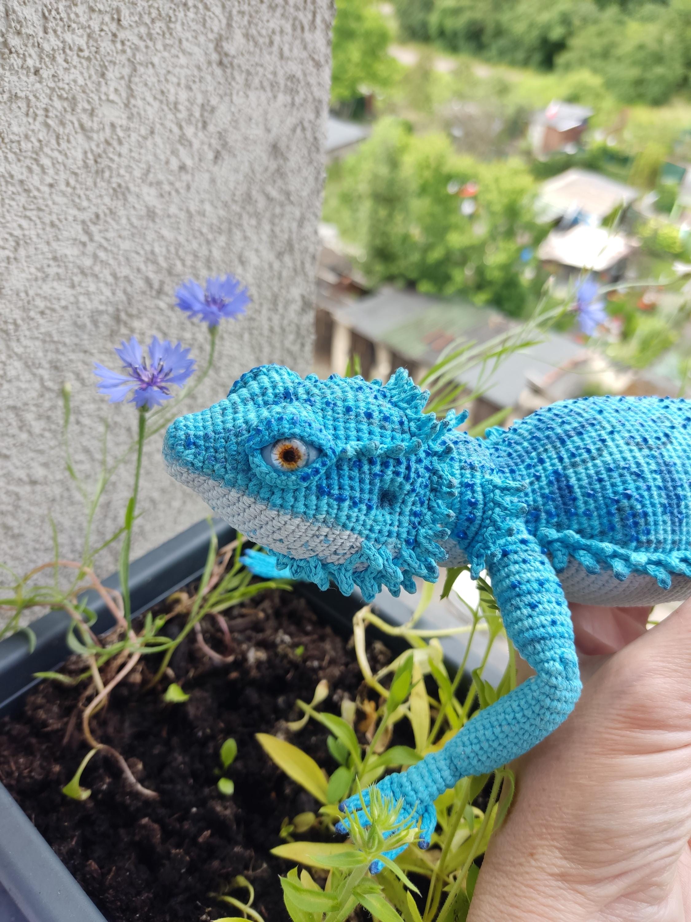 Ready to ship. Blue bearded dragon morph Agama stuffed animal. Realistic figurine amigurumi lizard. Abayomi crochet agama. Toy reptile