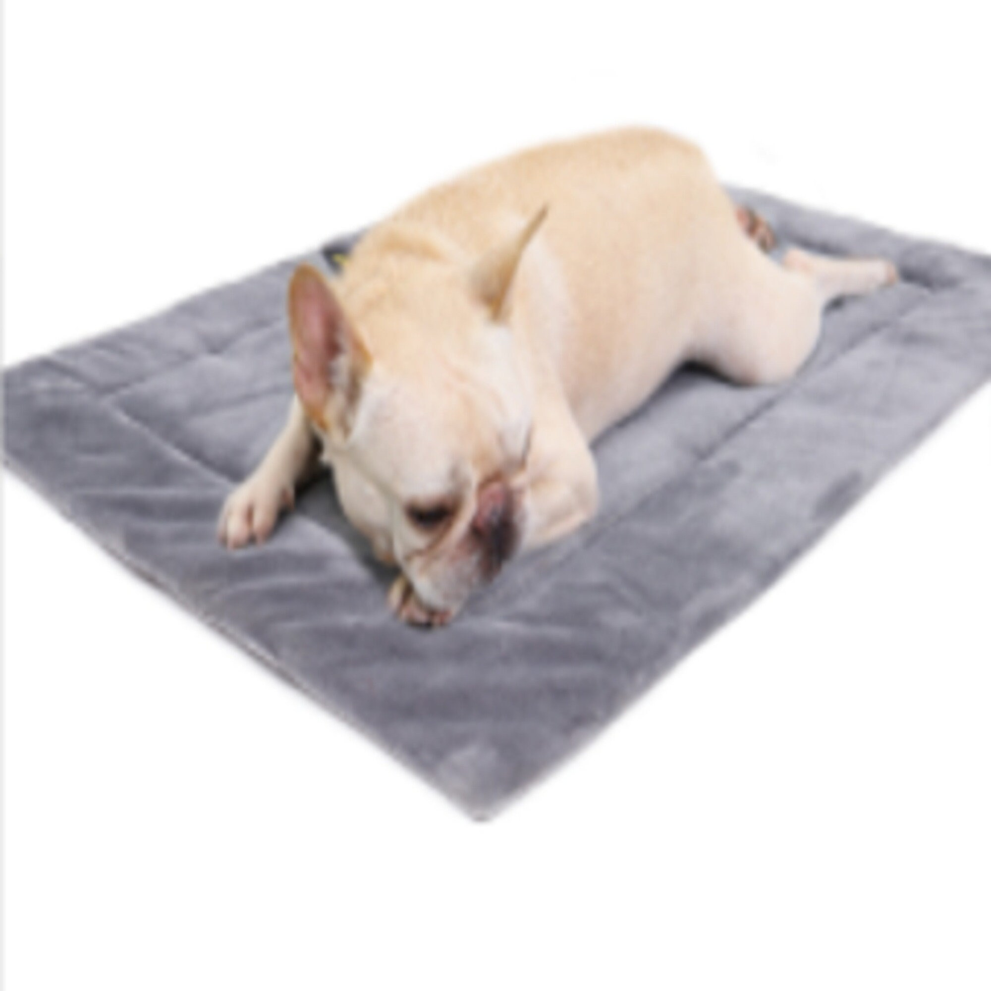 Tapis Thermique Pour Chien - Gris