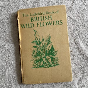 Das Marienkäferbuch der britischen Wildblumen 1957