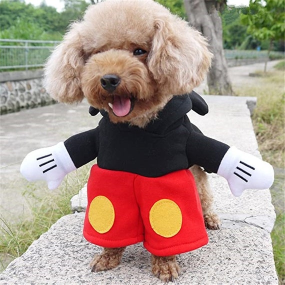 mickey costume dog