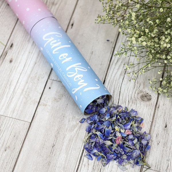 Confetti Cannon Etsy