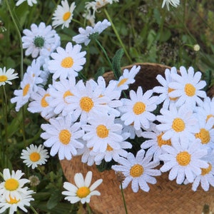 Crochet daisies. Handmade flowers, crochet flowers