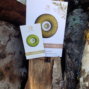 MONEY Manifestation set - A spiritual GIFT of mental health for self care manifestation through holistic vibrational healing therapy