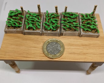 Miniature handmade plant seedlings with label