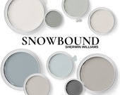 SW Snowbound with Complementary Colors for Cabinets, Interiors, and Exterior.