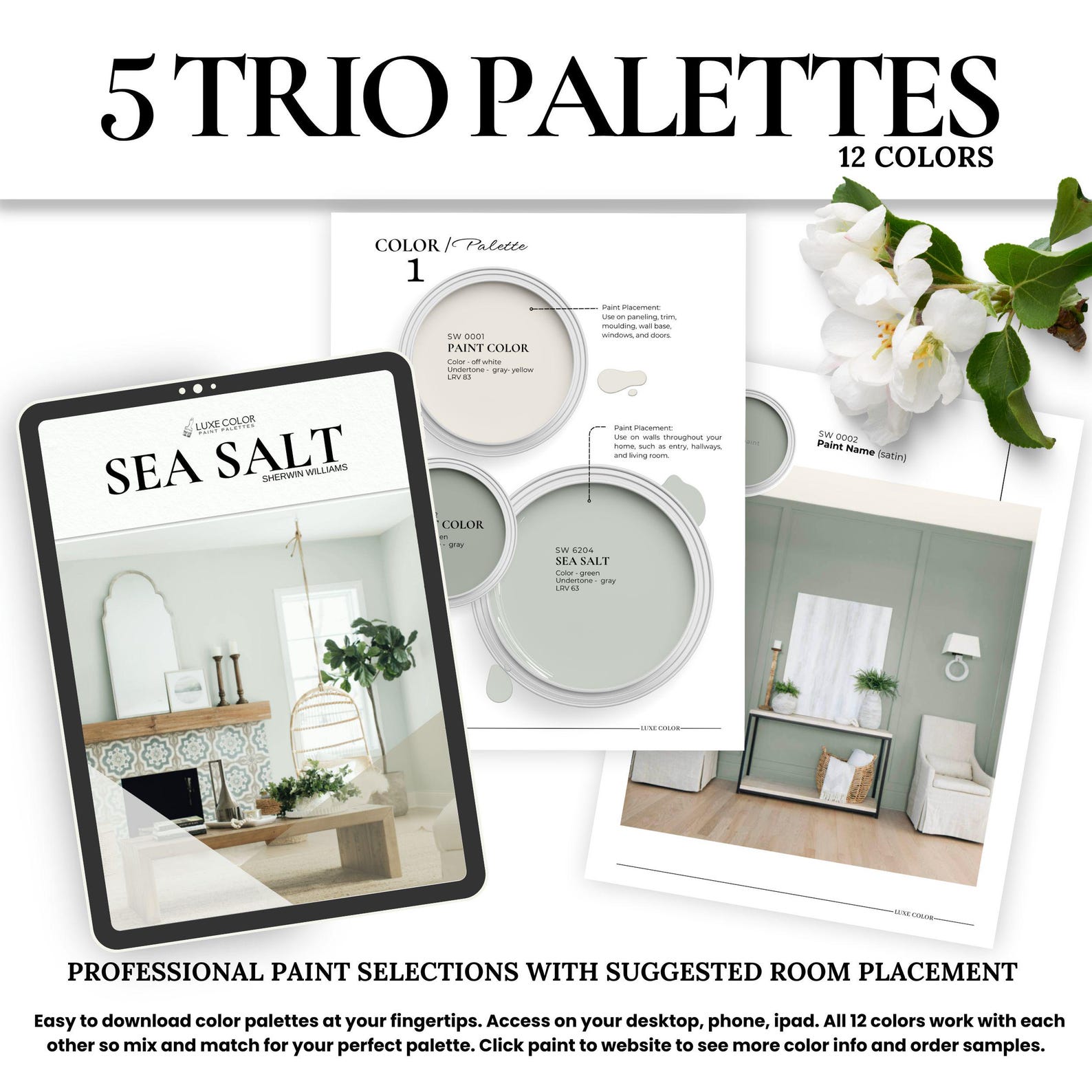 SW Sea Salt Color Palette ~ Whole House Paint Palette for Kitchen ...