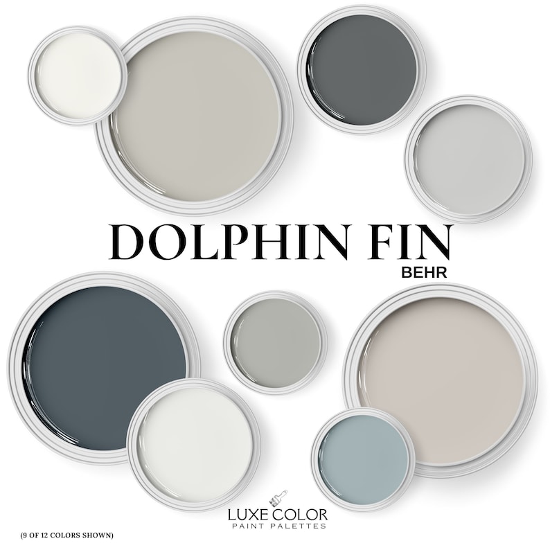 Behr Dolphin Fin Coordinating Colors Palette for Living Room, Kitchen