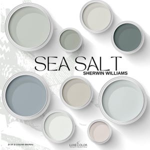 Sherwin Williams Sea Salt and Coordinating Colors | Sea Salt Palette for living room | Coastal Farmhouse Color Guide | Digital Download PDF