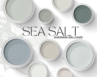 Sherwin Williams Sea Salt and Coordinating Colors Sea Salt