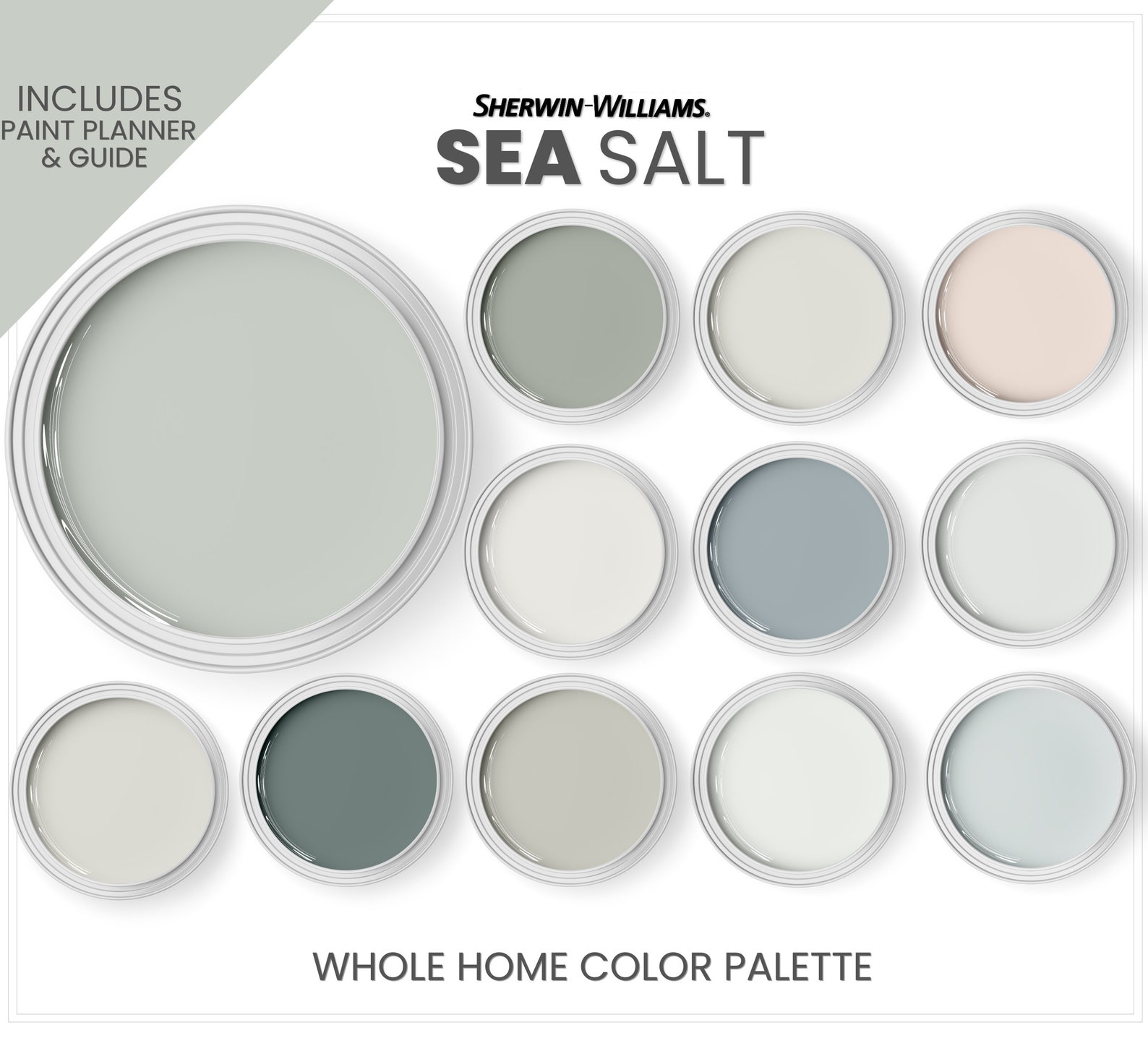 Sherwin Williams Sea Salt and Coordinating Colors Sea Salt - Etsy