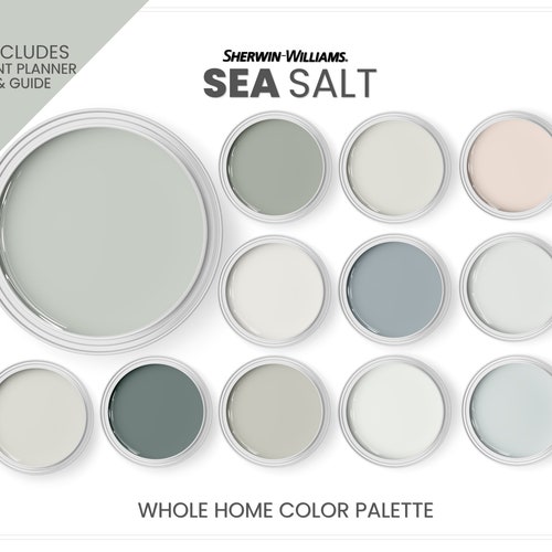 Sherwin Williams Sea Salt and Coordinating Colors. Sea Salt - Etsy