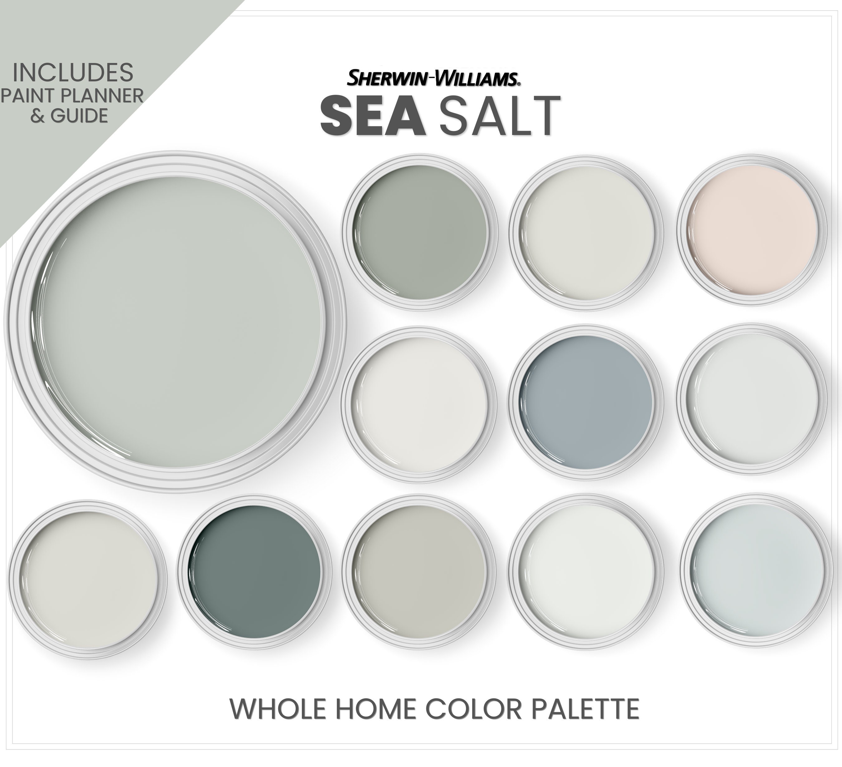 Sherwin Williams Sea Salt and Coordinating Colors. Sea Salt Etsy