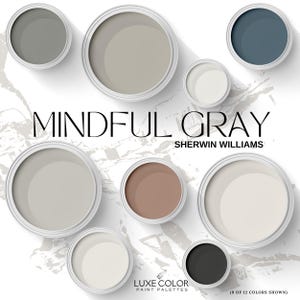 Sherwin Williams Mindful Gray and Coordinating Colors  ~ Paint Palette for Living room ~ Bedroom ~ Cabinets~ And Whole House.