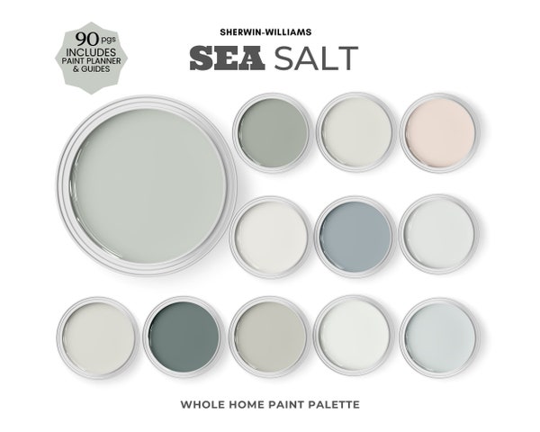 Sea Salt Sherwin Williams Home Paint & Color Palette - Etsy Canada