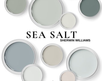 Sherwin Williams Sea Salt and Coordinating Colors ~  Sea Salt Palette for living room ~ bedroom ~ Kitchen and Cabinets.