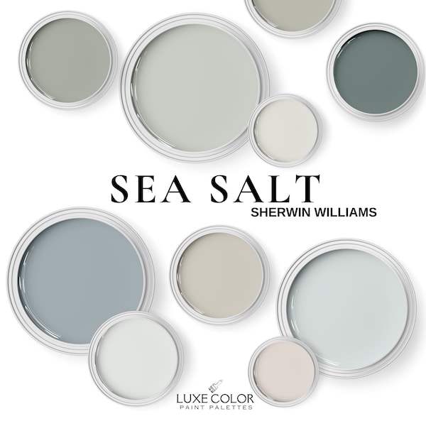 Sherwin Williams Sea Salt and Coordinating Colors ~  Sea Salt Palette for living room ~ bedroom ~ Kitchen and Cabinets.