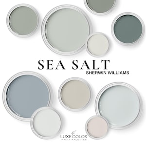 May include: A collection of paint samples in various shades of blue and gray, labeled "SEA SALT SHERWIN WILLIAMS". The paint samples are arranged in a circle on a white background.