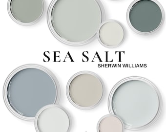 Sherwin Williams Sea Salt and Coordinating Colors ~  Sea Salt Palette for living room ~ bedroom ~ Kitchen and Cabinets.
