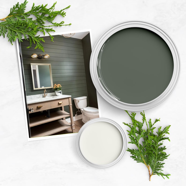 Benjamin Moore Classic Gray Palette ~ Complementary Colors for Living Room, Cabinets, and Whole House. image 5