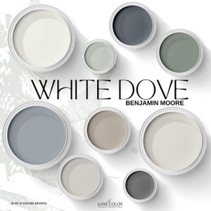 Paleta de pintura Benjamin Moore White Dove / Colores coordinados / Esquema de colores neutros para toda la casa / Guía de pintura para diseño de interiores