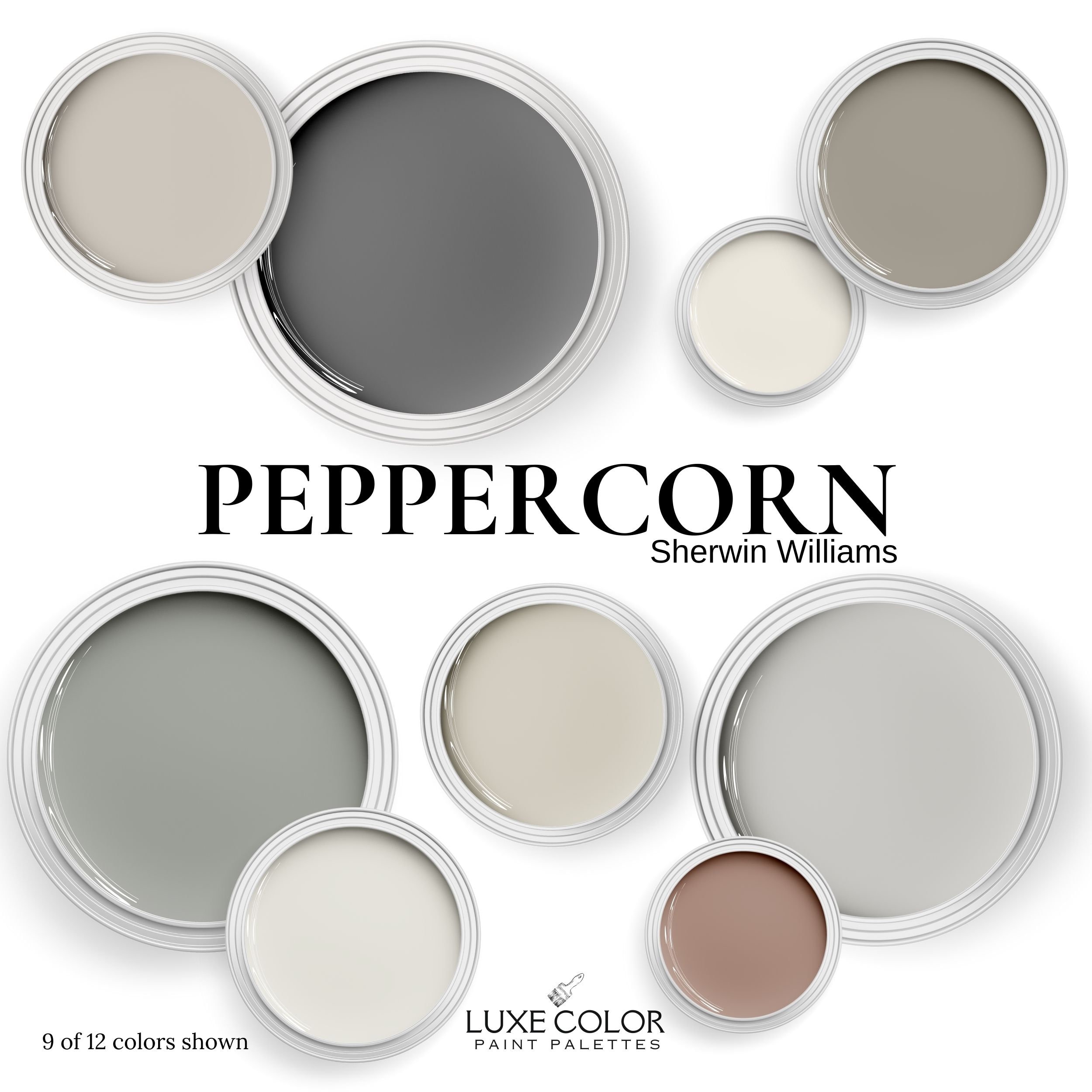Sherwin Williams Peppercorn and Coordinating Colors ~ Color Palette for