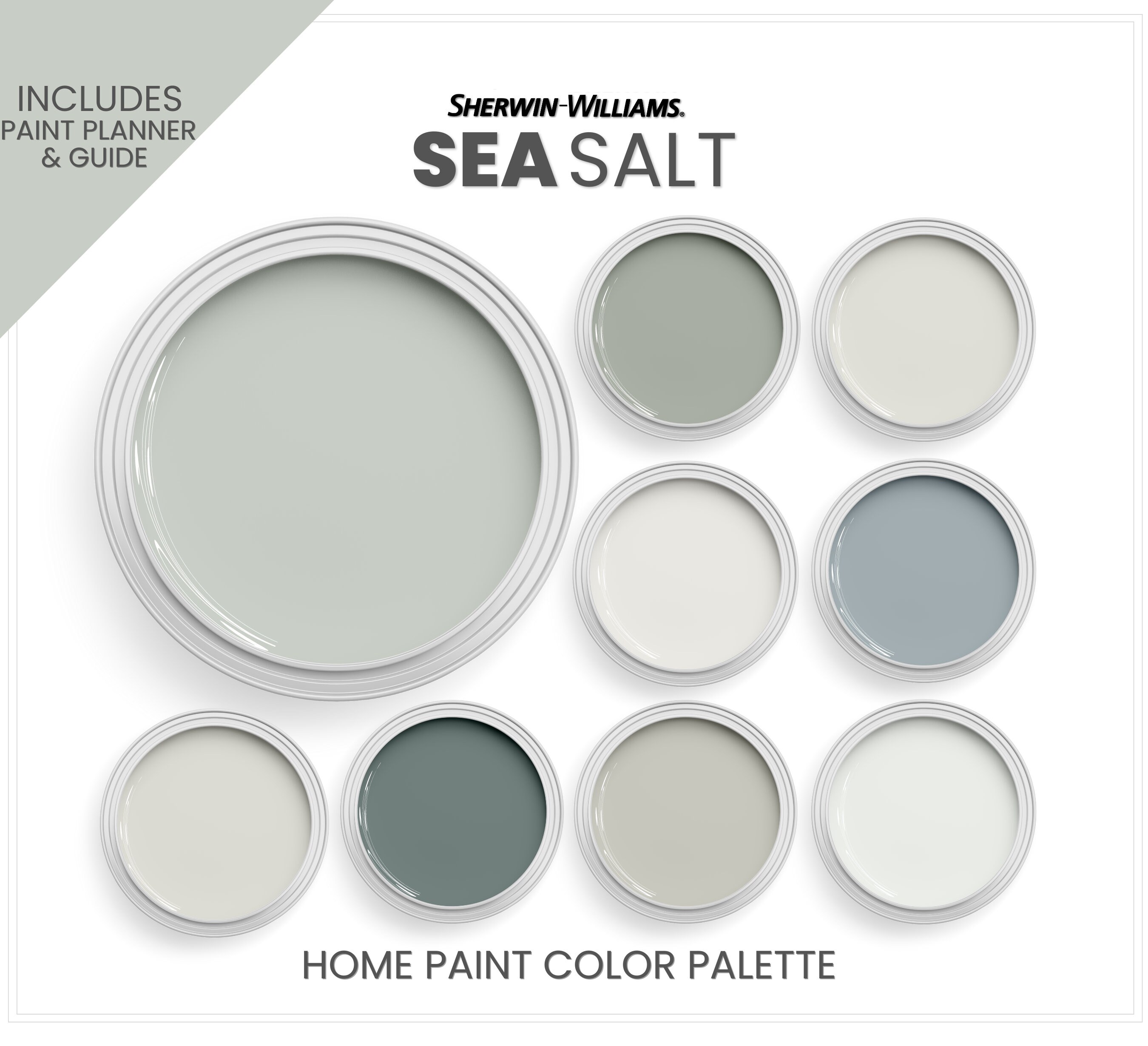 Sherwin Williams Sea Salt and Coordinating Colors. Sea Salt - Etsy UK