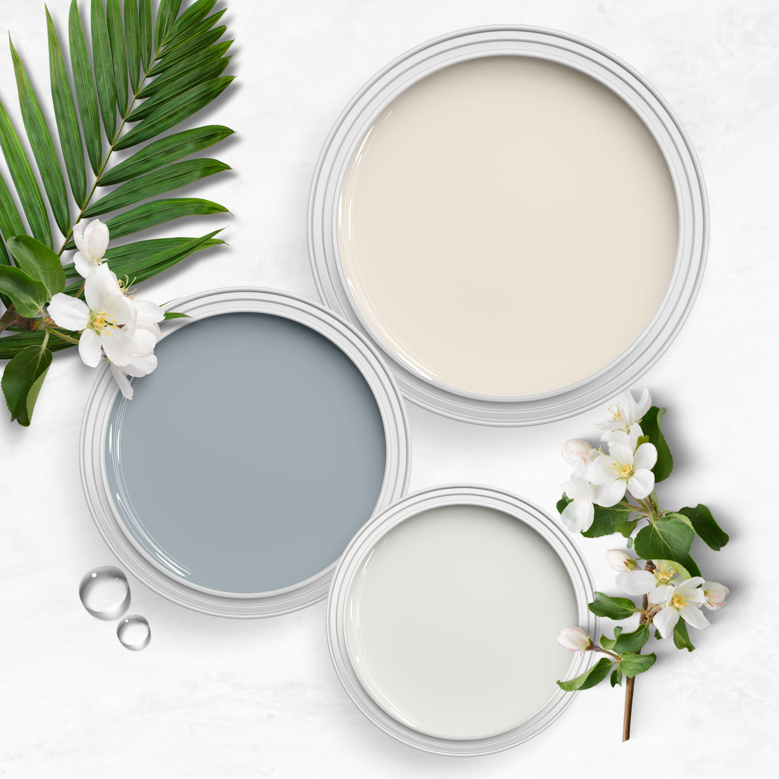 Sherwin Williams Creamy Color Palette | Warm White Paint Colors ...